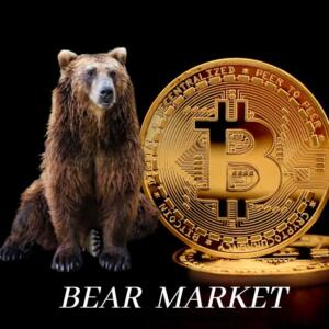 ¿Que es el bear market crypto?