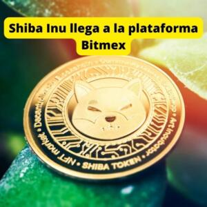 Shiba Inu llega a la plataforma Bitmex, la tasa de consumo ve un aumento del 395 %