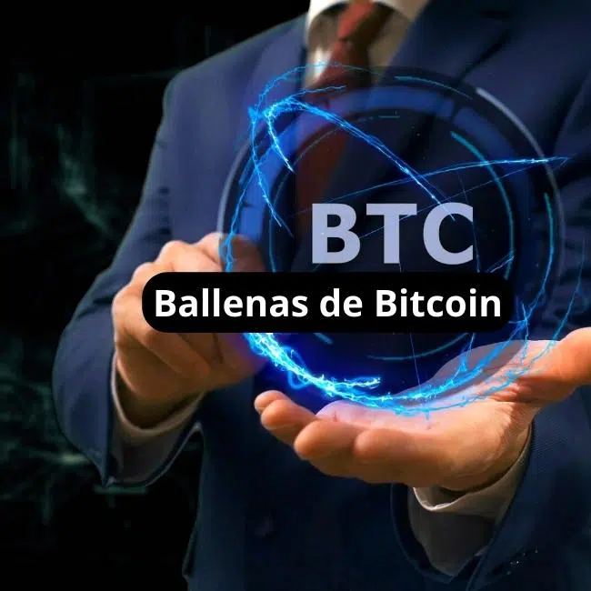 ballenas